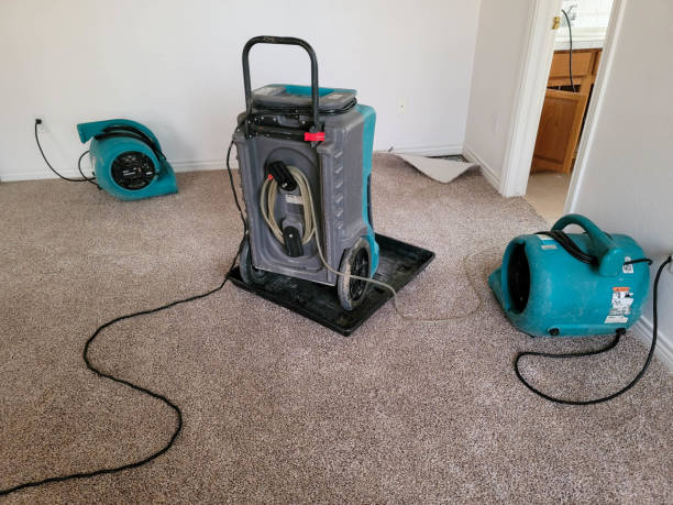 Best Flood damage cleanup  in Twin City, GA