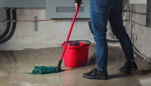 Best Water damage restoration near me  in Twin City, GA