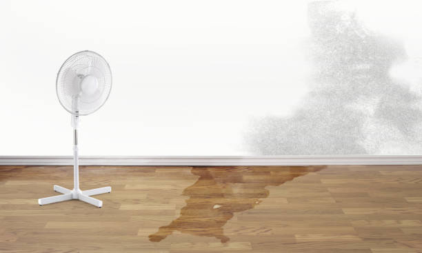 Best Water damage mitigation services  in Twin City, GA