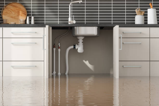Best Water damage cleanup near me  in Twin City, GA