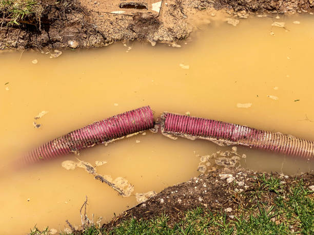 Best Water damage restoration near me  in Twin City, GA
