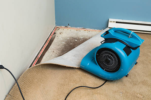 Best Flood restoration services  in Twin City, GA
